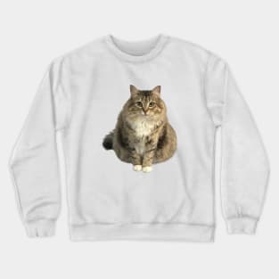 Luna the car staring Crewneck Sweatshirt